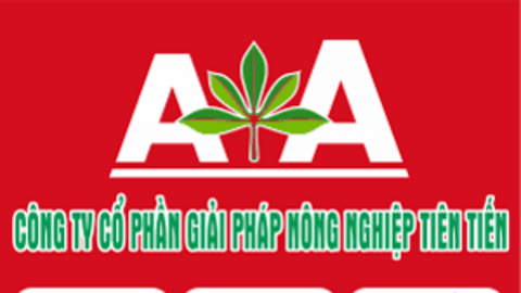 Phim Tài liệu 45 năm Lữ đoàn 206 - Quân khu 4